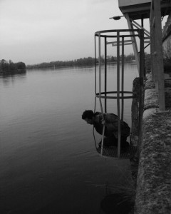 andrea_rhone_fronte 01_resize