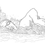 th-17_image-46